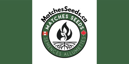 Matches Seeds, Québec - Farm and Greenhouse Seeds Products Manufactured in Canada